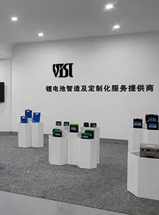 Hangzhou Weesyt Power Technology Co., Ltd.